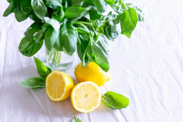 A vibrant still life featuring fresh basil and lemon slices against a crisp white background.