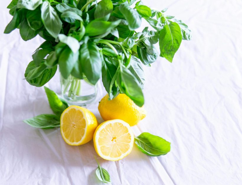 A vibrant still life featuring fresh basil and lemon slices against a crisp white background.